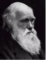 Charles Darwin 