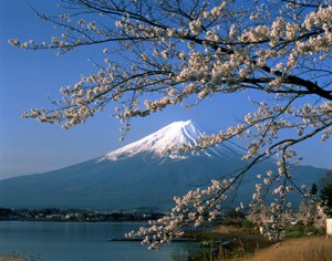 Mt. Fuji, Japan