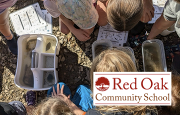 Red Oak Community School Blog