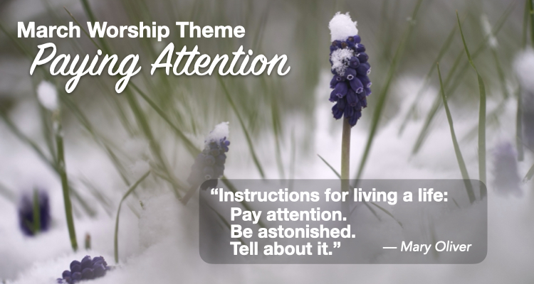 2026-March-Attention.011