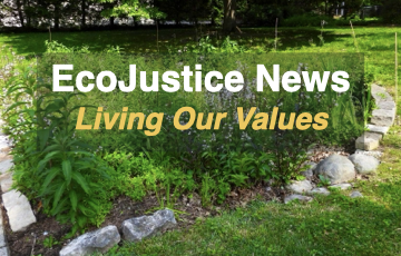 Eco Justice Activities at First UU